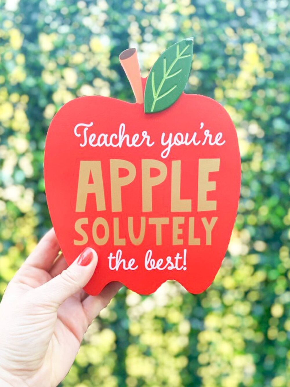 #1 Teacher Desk Decor